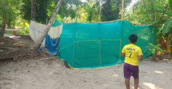 Property for Sale: Prime Land Near Marari Beach