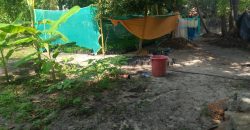 Property for Sale: Prime Land Near Marari Beach