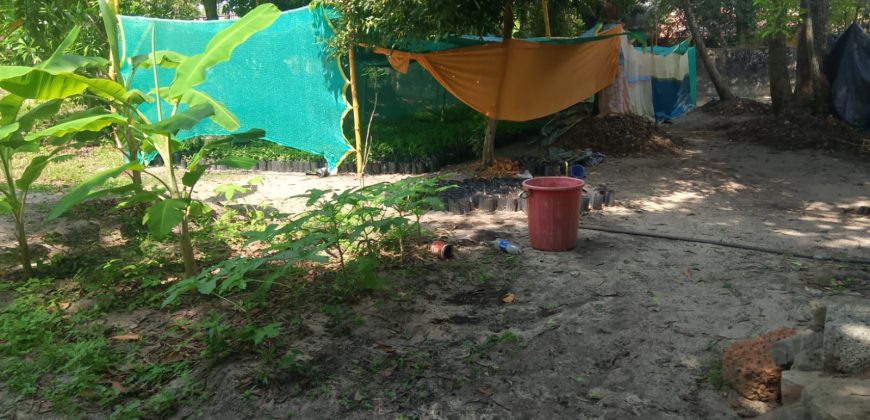 Property for Sale: Prime Land Near Marari Beach