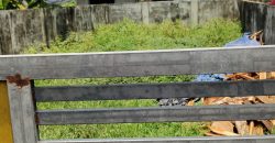Land for Sale in Veliyakulam Alappuzha
