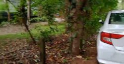Property for Sale: Prime Land Near Marari Beach