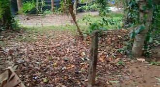 Property for Sale: Prime Land Near Marari Beach